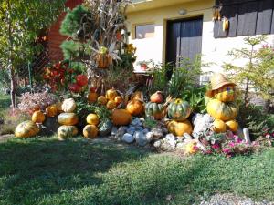 Najlepše urejena domačija na temo jesen in buče 3